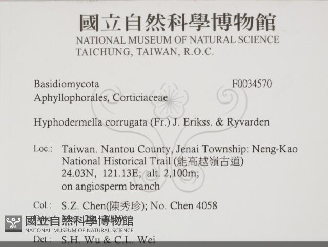 登錄號:F0034570藏品圖，第2張