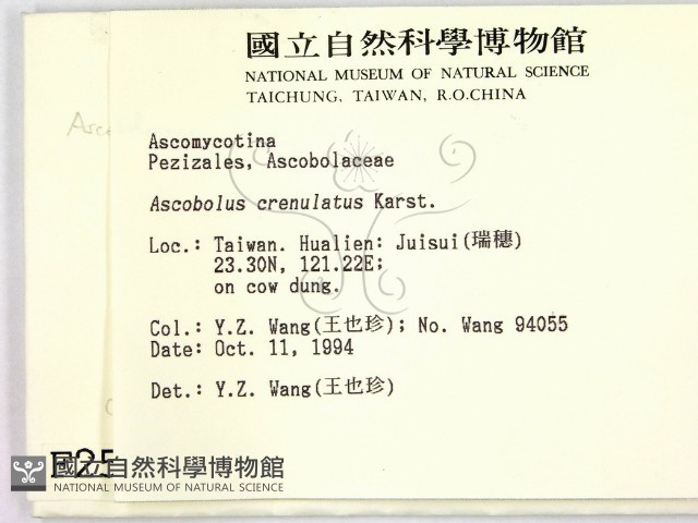 登錄號:F0002570藏品圖，第2張