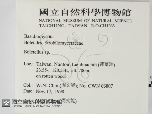 登錄號:F0012570藏品圖，第2張