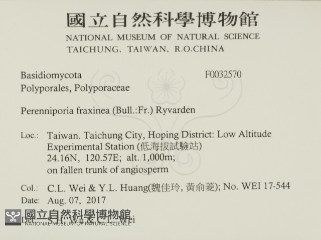 登錄號:F0032570藏品圖，第2張