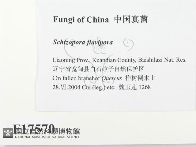 登錄號:F0017570藏品圖，第2張