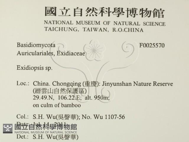 登錄號:F0025570藏品圖，第2張