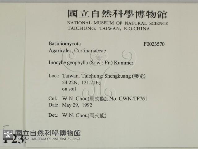 登錄號:F0023570藏品圖，第2張