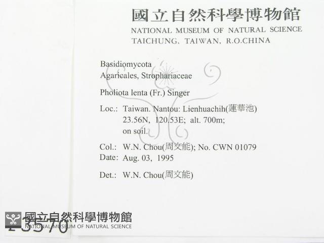 登錄號:F0003570藏品圖，第2張