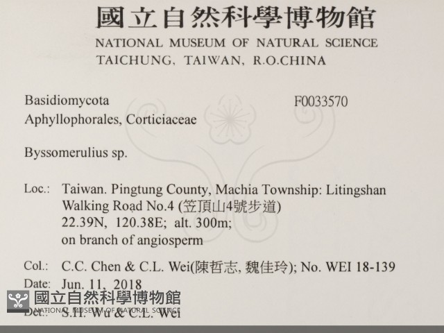 登錄號:F0033570藏品圖，第2張