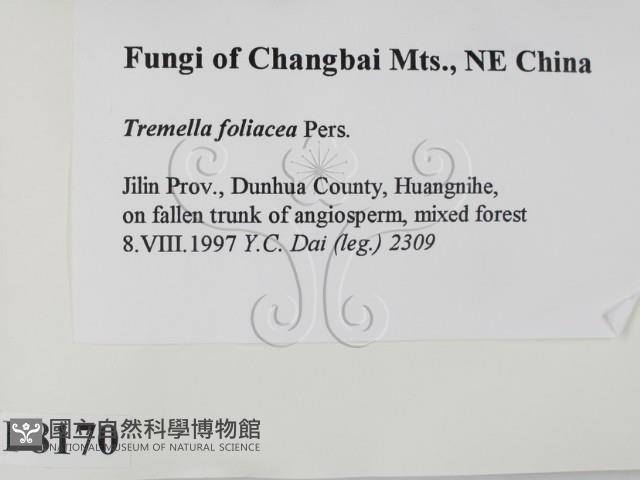 登錄號:F0008170藏品圖，第2張