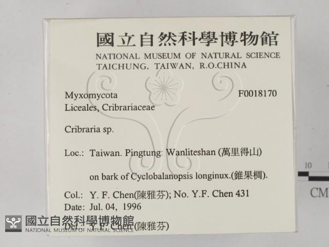 登錄號:F0018170藏品圖，第2張