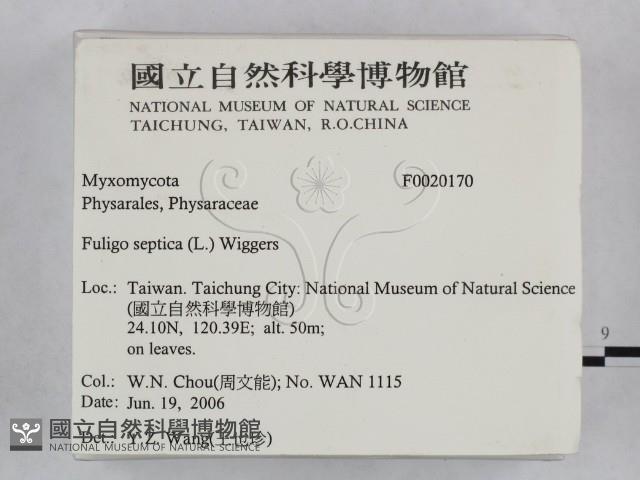 登錄號:F0020170藏品圖，第2張