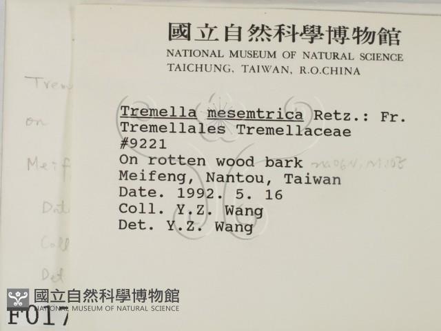 登錄號:F0000170藏品圖，第2張