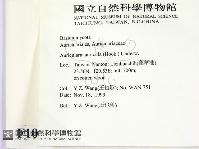 登錄號:F0010170藏品圖，第2張