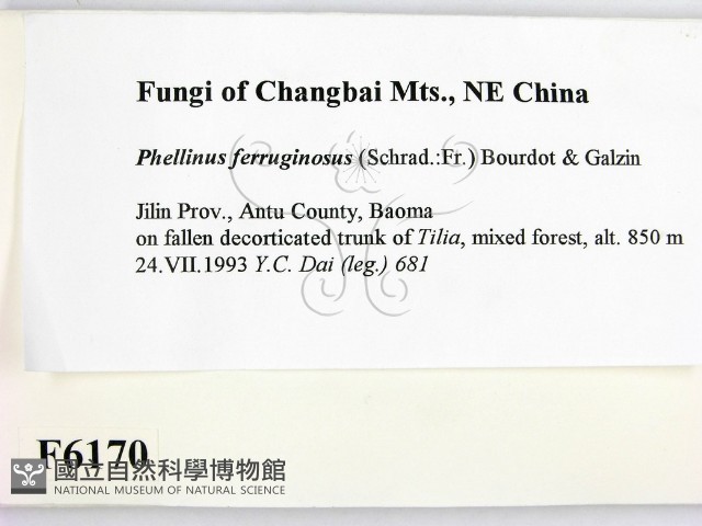 登錄號:F0006170藏品圖，第2張