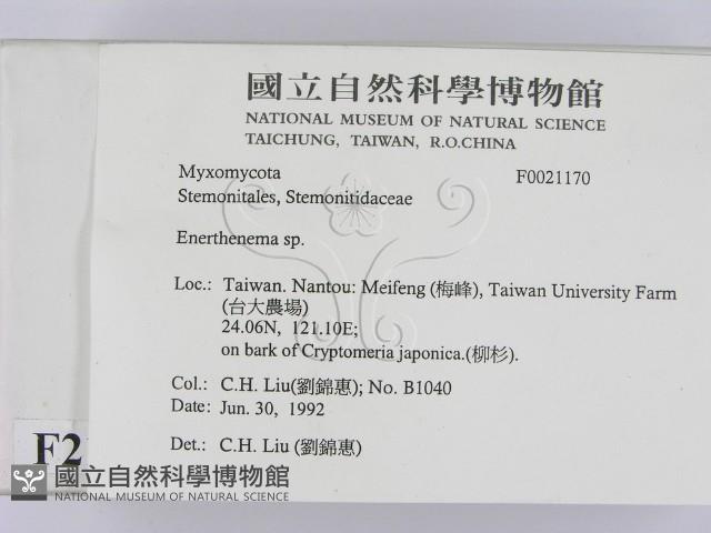 登錄號:F0021170藏品圖，第2張