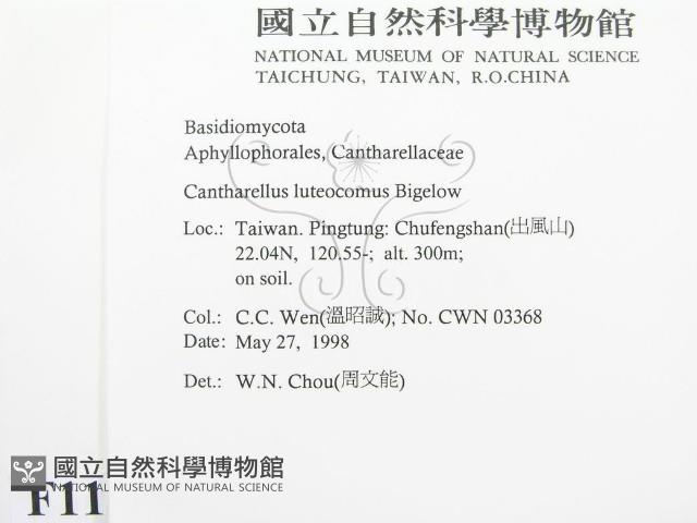 登錄號:F0011170藏品圖，第2張