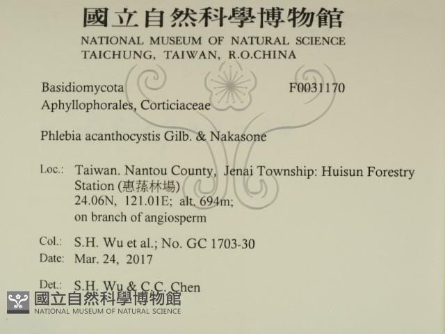 登錄號:F0031170藏品圖，第2張