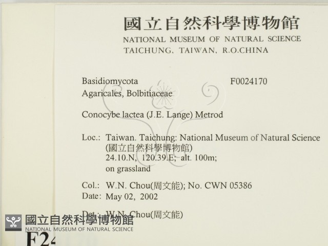 登錄號:F0024170藏品圖，第2張