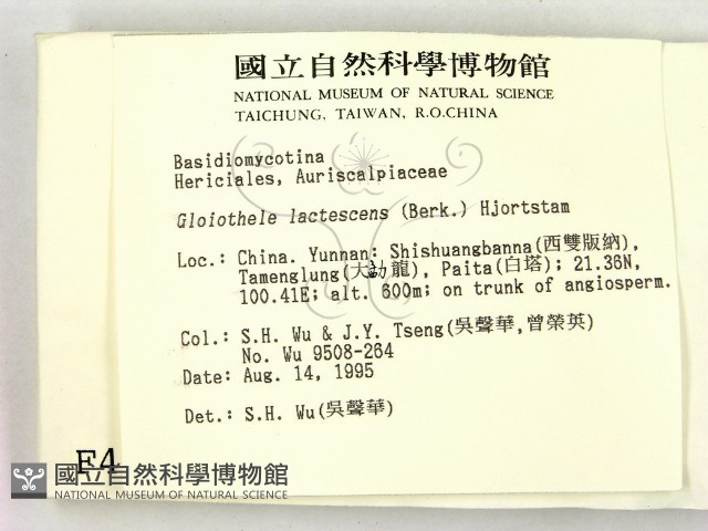 登錄號:F0004170藏品圖，第2張