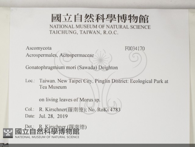 登錄號:F0034170藏品圖，第2張