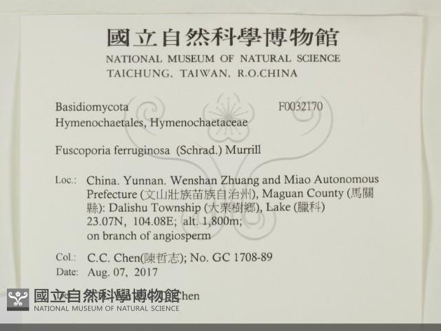 登錄號:F0032170藏品圖，第2張
