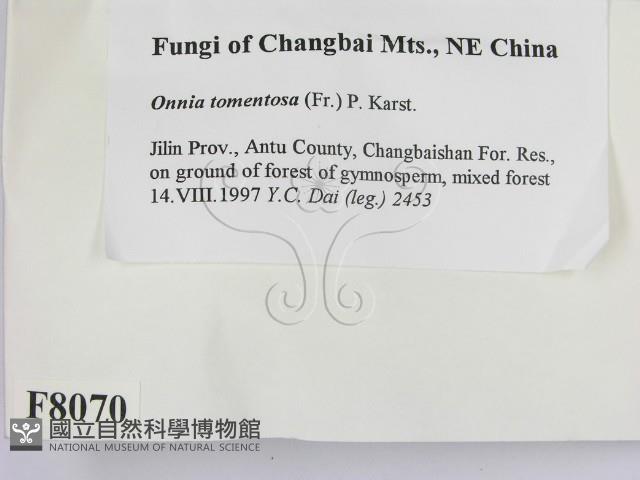 登錄號:F0008070藏品圖，第2張