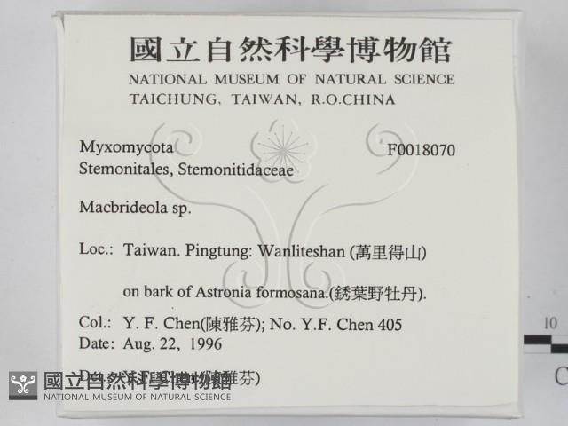 登錄號:F0018070藏品圖，第2張
