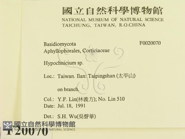 登錄號:F0020070藏品圖，第2張