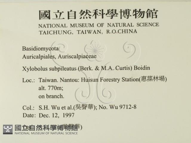 登錄號:F0010070藏品圖，第2張