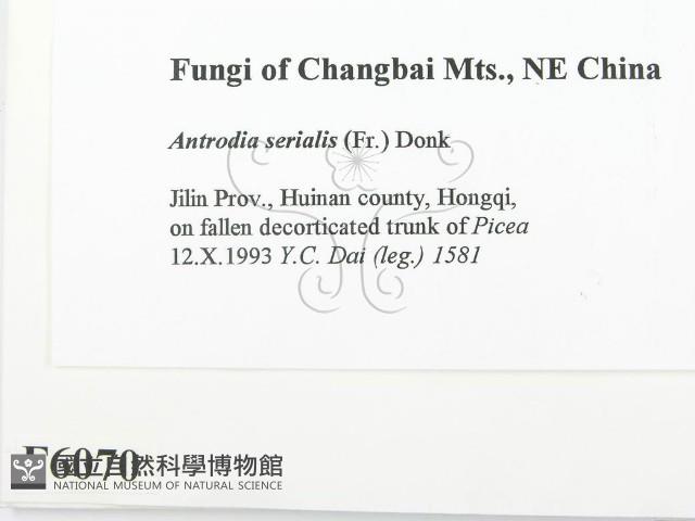 登錄號:F0006070藏品圖，第2張