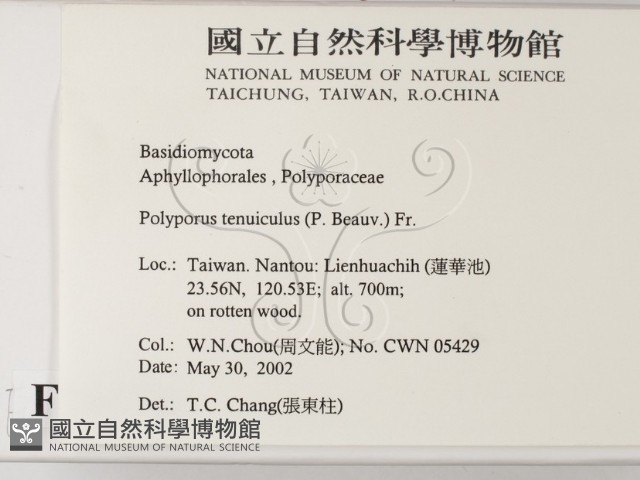 登錄號:F0016070藏品圖，第2張