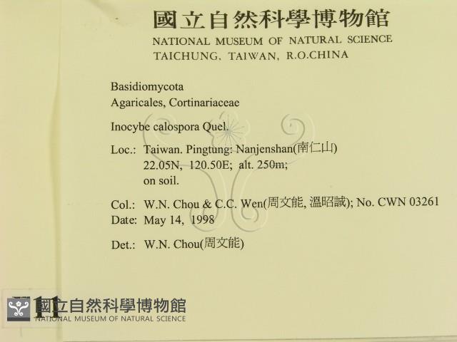 登錄號:F0011070藏品圖，第2張