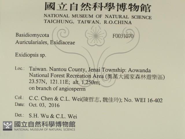 登錄號:F0031070藏品圖，第2張