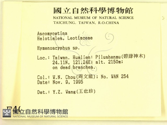 登錄號:F0004070藏品圖，第2張