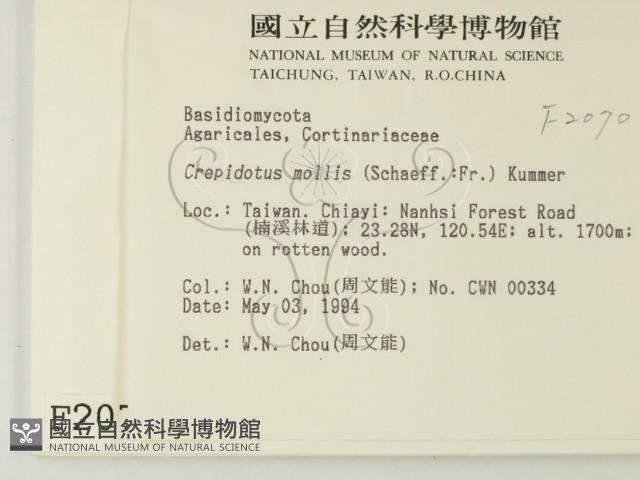 登錄號:F0002070藏品圖，第2張