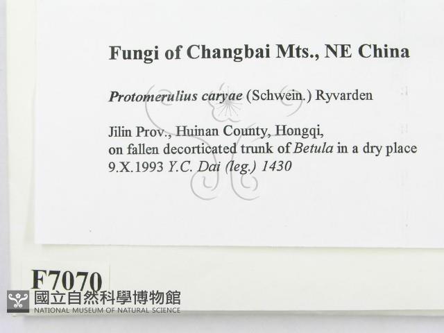 登錄號:F0007070藏品圖，第2張