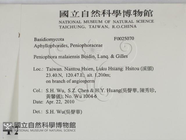 登錄號:F0025070藏品圖，第2張