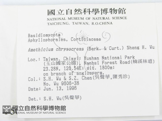登錄號:F0005070藏品圖，第2張