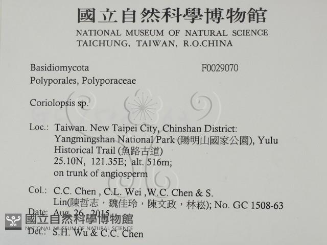 登錄號:F0029070藏品圖，第2張