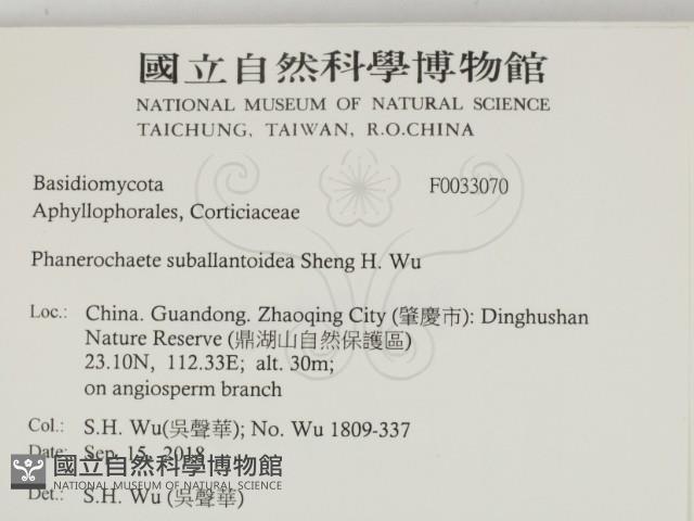 登錄號:F0033070藏品圖，第2張