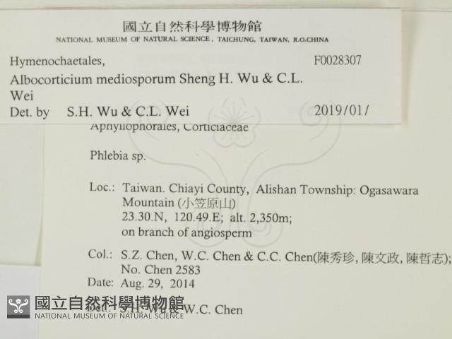 登錄號:F0028370藏品圖，第2張