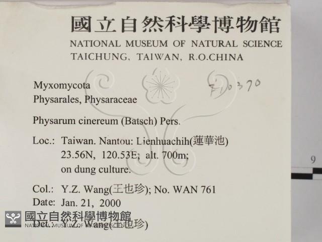 登錄號:F0010370藏品圖，第2張