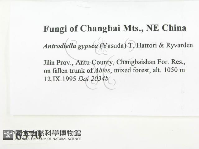 登錄號:F0006370藏品圖，第2張