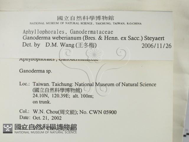 登錄號:F0016370藏品圖，第2張