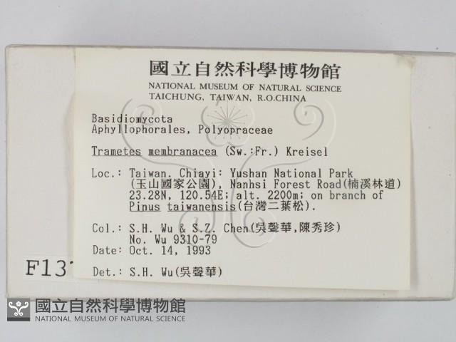 登錄號:F0001370藏品圖，第2張