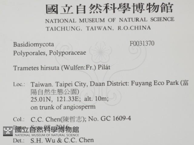 登錄號:F0031370藏品圖，第2張