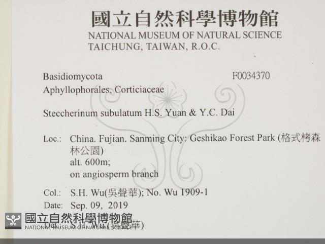 登錄號:F0034370藏品圖，第2張