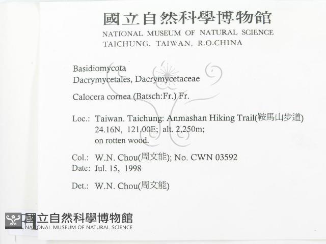 登錄號:F0012370藏品圖，第2張