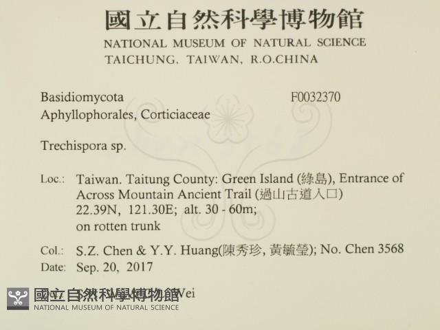 粗糙孢菌屬藏品圖，第2張