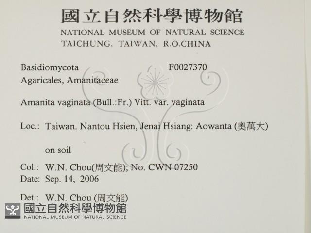 登錄號:F0027370藏品圖，第2張