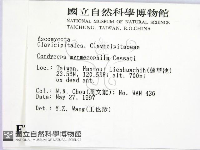 登錄號:F0007370藏品圖，第2張