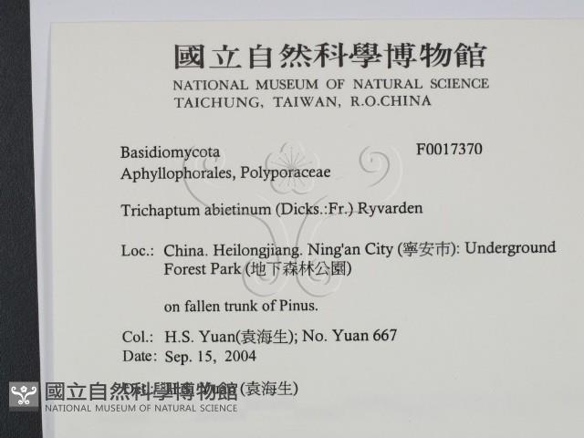 登錄號:F0017370藏品圖，第2張