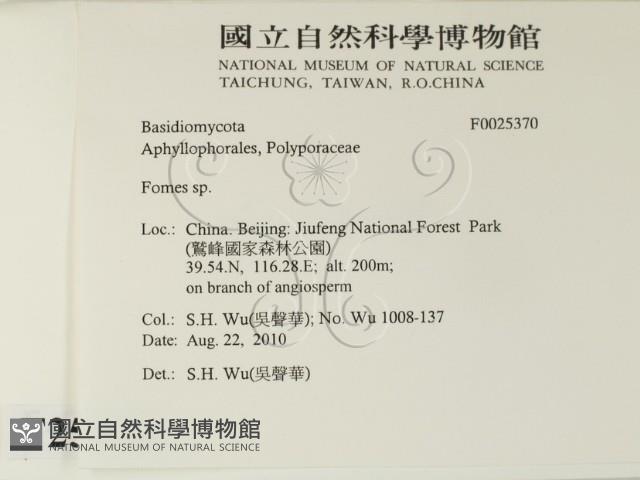 登錄號:F0025370藏品圖，第2張